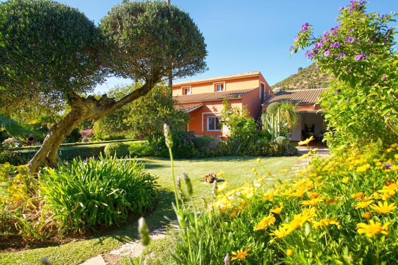 Casa Rural Los Ninos Algodonales Εξωτερικό φωτογραφία